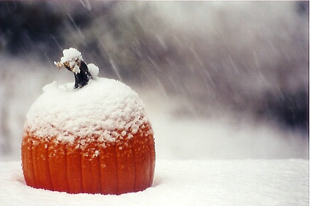 Oct. 19  1pm-fall/3pm winter