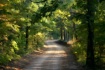 Dirt Road