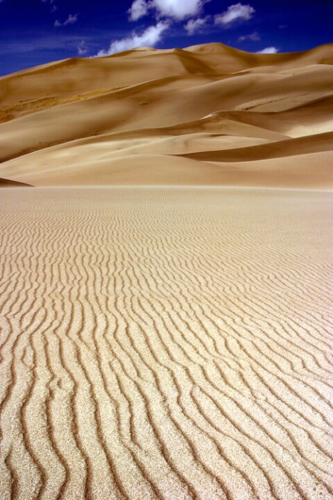 Patterns at the "Dunes"