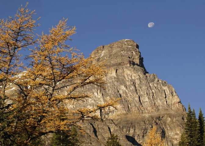 Moon over Larch