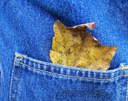 Pocket Full of Fall