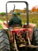 Fall Hay Ride