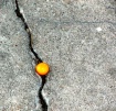 1 lonely Paint Ba...