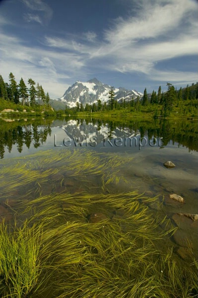 Mt. Shuksan and reeds, Reflection Pond