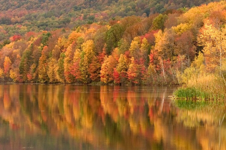 colors & reflections of fall