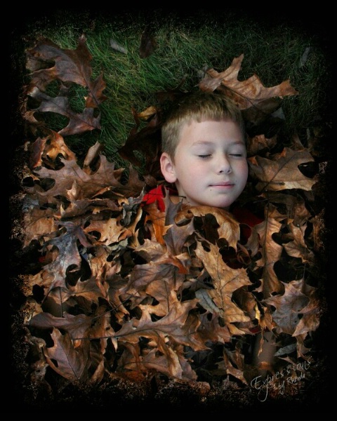 Dreaming in a Bed of Leaves