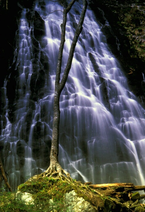 Crabtree Falls, Blue Ridge Prky,NC - ID: 586745 © Bob Peterson