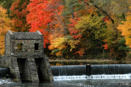 Autumn at Speedwell Lake