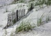 Beachscape