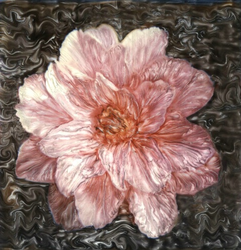 Camelia, Pink