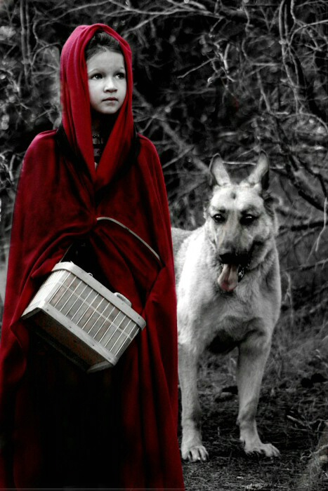 Little Red Ridinghood