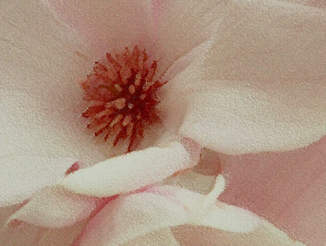 Textured Petals