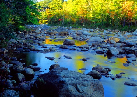 Golden Reflections