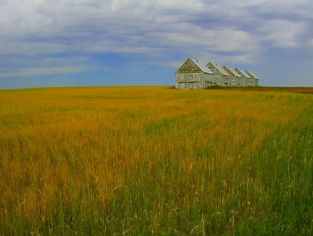 Alberta Granaries