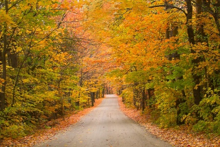 Fall-ing In Love With Vermont