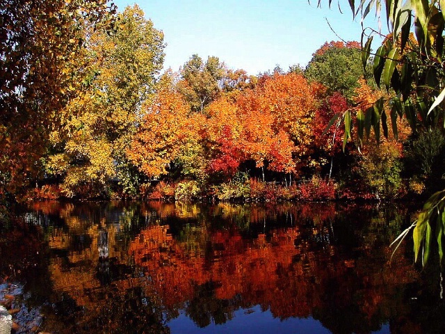 Fishin' Hole in the Fall