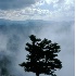 © Bob Peterson PhotoID # 592791: Storm coming, Grandfather Mnt NC