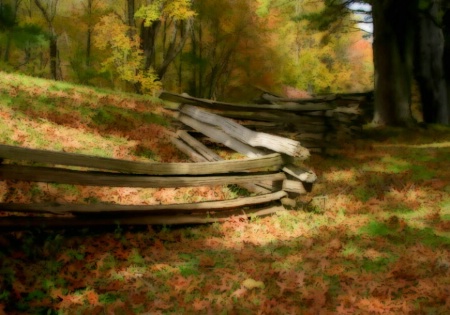 Fence Painting