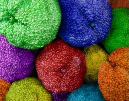 Colored Hedge Apples