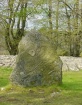 Tree and Stone