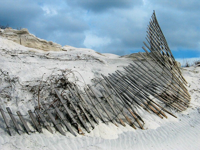 Cape San Blas Beachscape