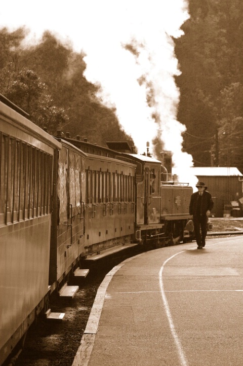 Puffing billy Steamtrain 2