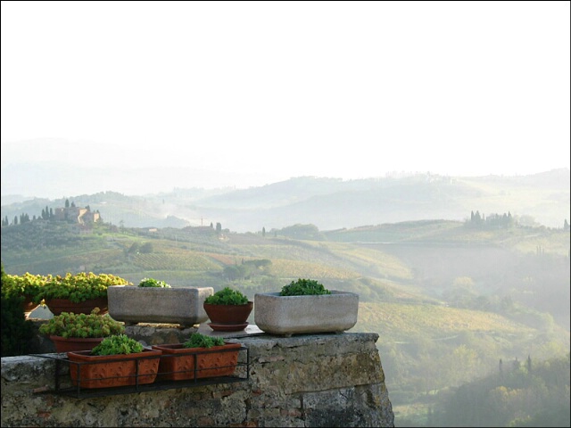Misty morning in Tuscany