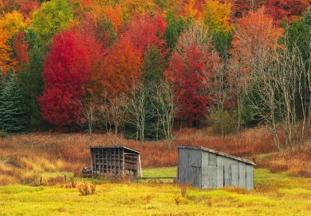 Autumn At The Woodshed