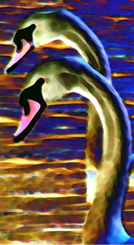 Swan Painting.