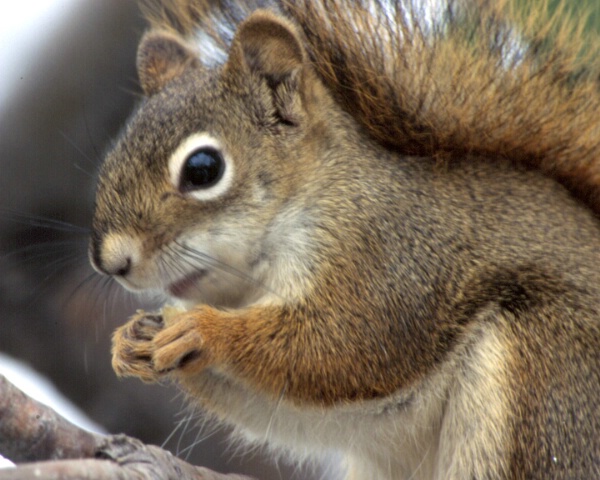 Stop for a snack!