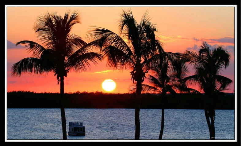 Sunset in Margaritaville... - ID: 606976 © Sara And Dick