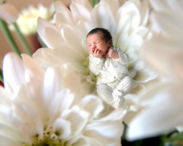Flower Baby