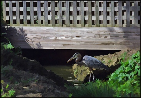 No Fishing From Bridge