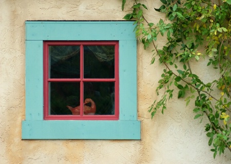 Window with a goose 