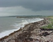 Gathering Storm