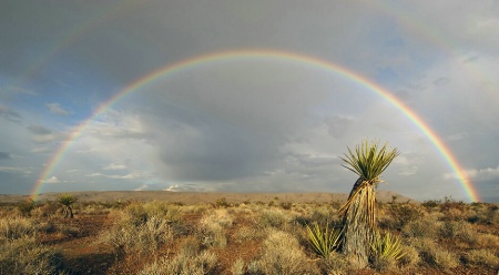 Rainbow in the Desert