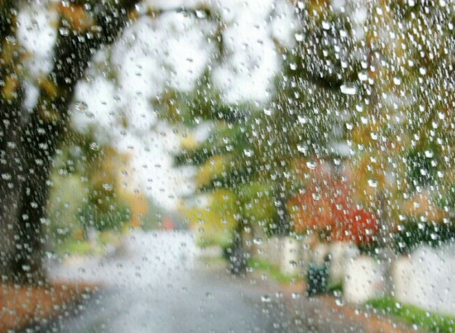 Autumn Rain - ID: 616881 © Hasmik Hatamian