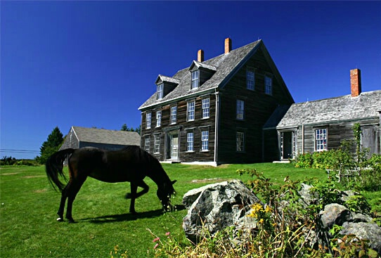 Horse at The Olsen House, Maine