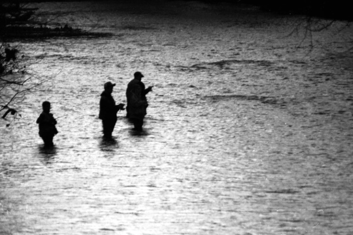 Silhouttes of fisherman