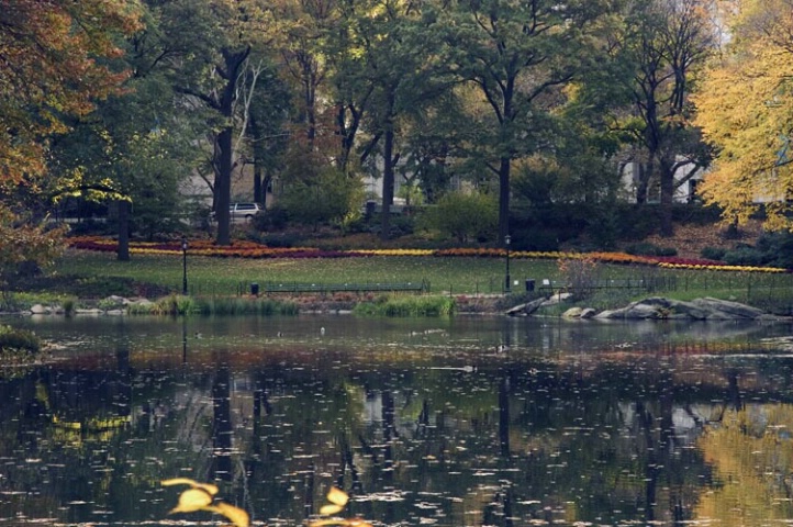 Central Park after curves