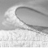 © Carolina K. Smith PhotoID# 627844: Banana Curves (Macro)
