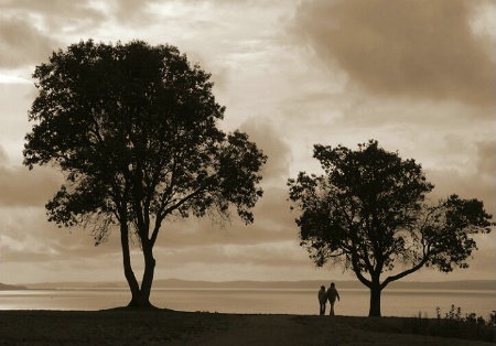 Walking together   