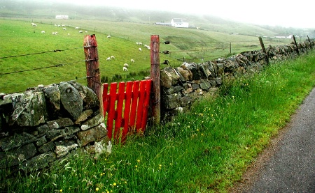 Red Fence