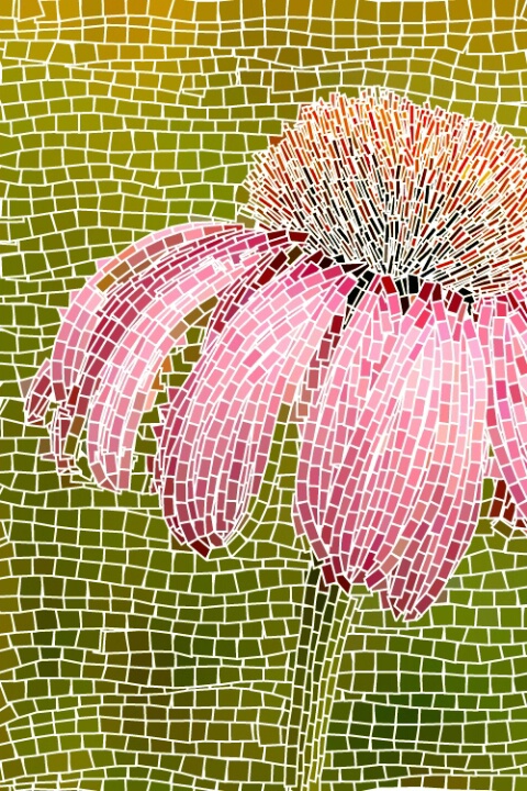 Cone flower mosaic