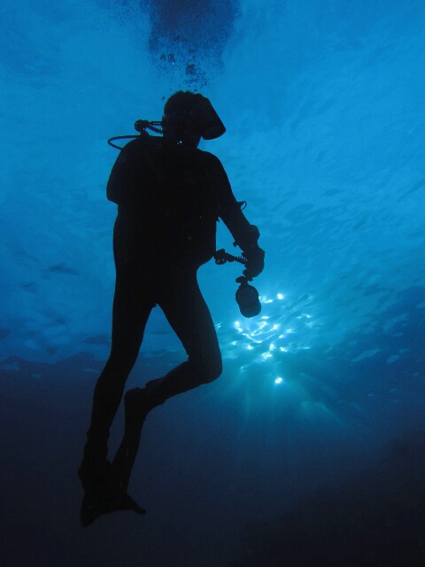 An underwater photographer