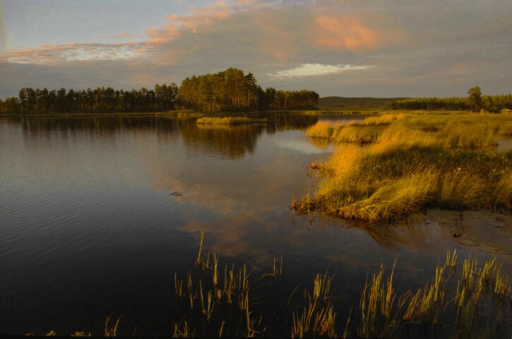 Swedish Lake at Sunset