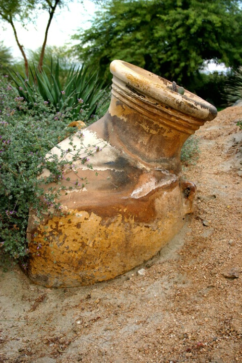 Desert Amphorae