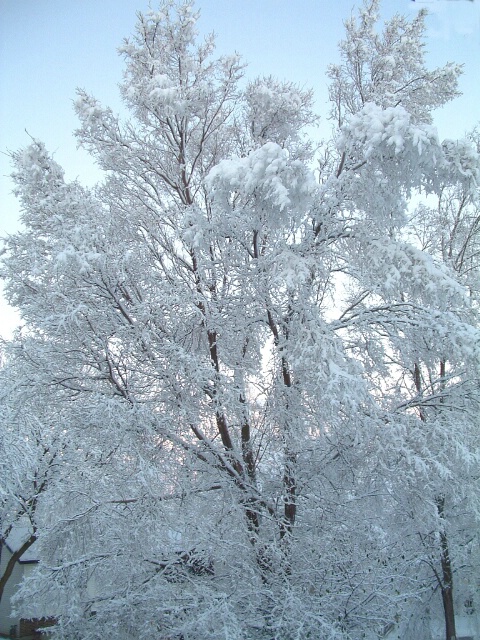 Winter Returns 2004