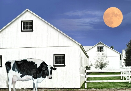 Moon over Arethus Farm