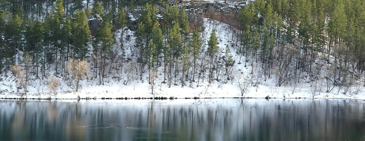 Snow Reflections